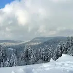 Peaceful In Close To Activities * 제라르메르