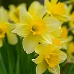 Апартаменты Peaceful In Close To Activities Жерарме