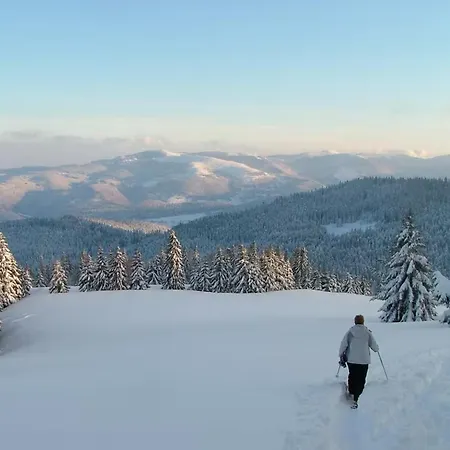Peaceful In Close To Activities Жерарме