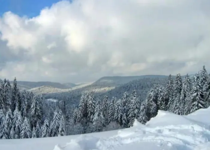 Peaceful In Close To Activities * Gerardmer