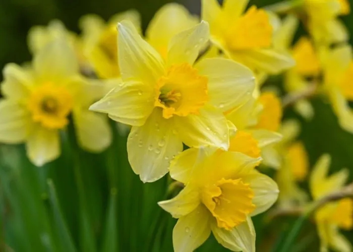 Apartmán Peaceful In Close To Activities Gérardmer