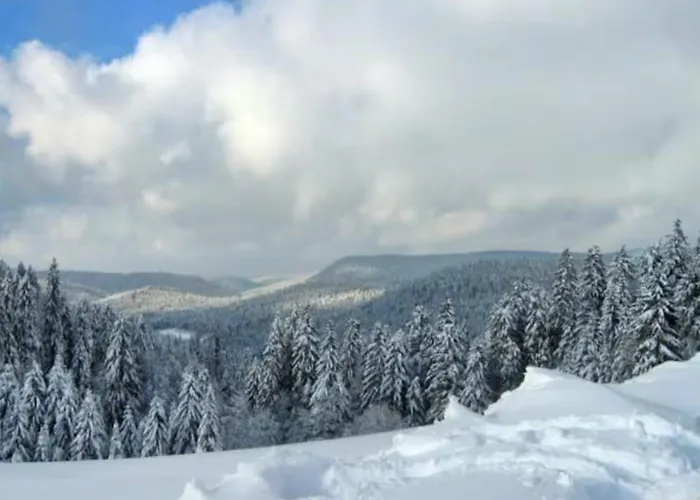 Peaceful In Close To Activities Gérardmer