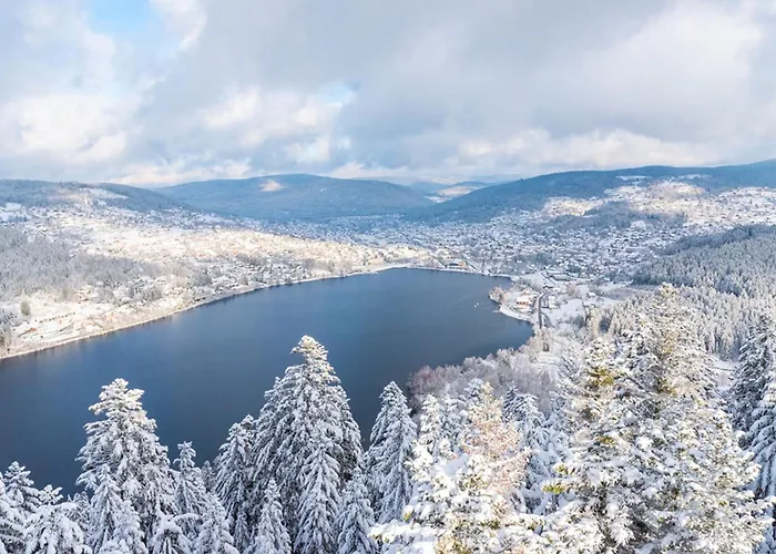 Peaceful In Close To Activities * Gérardmer